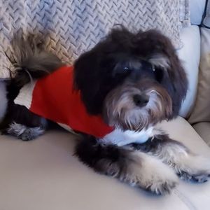 Meet your Posher, Denise